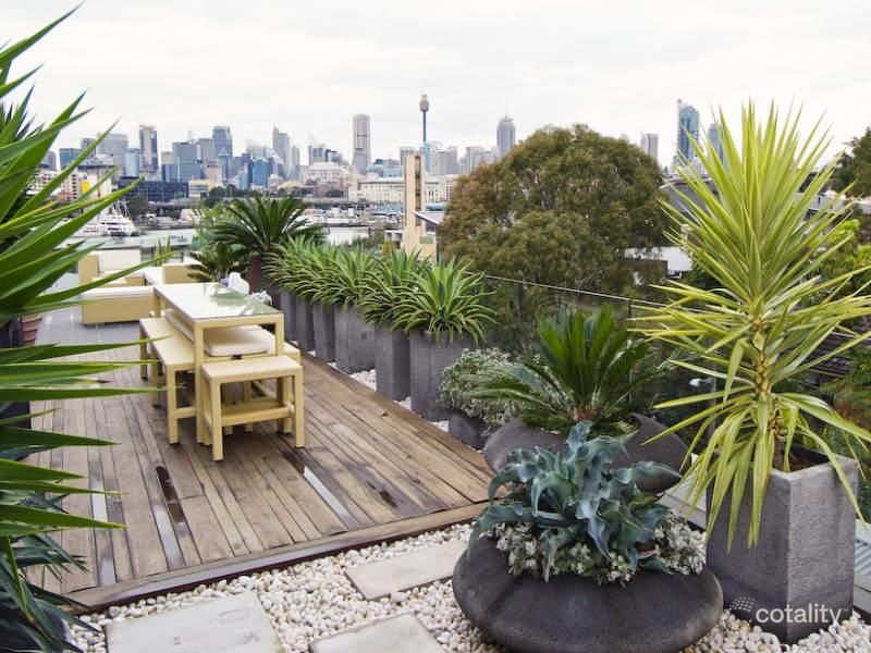 316/14 Griffin Pl, Glebe, NSW 2037