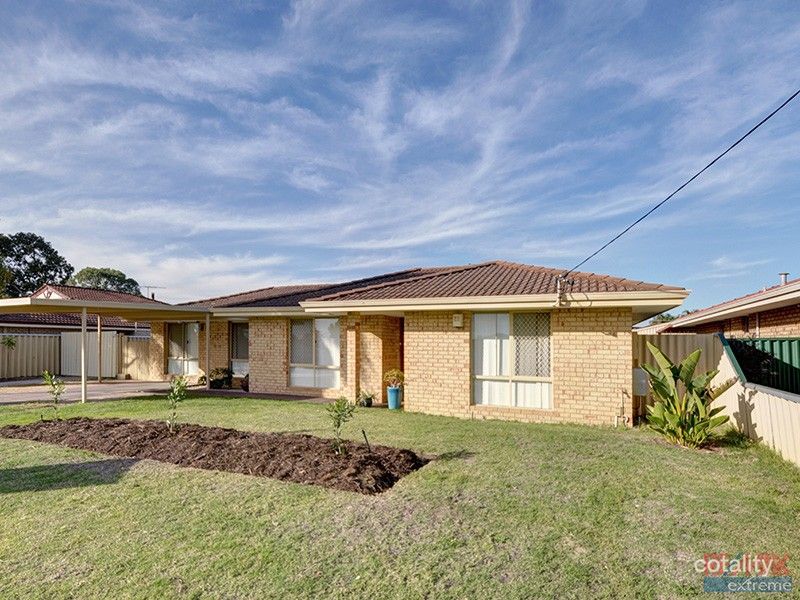 33 Sapling Way, Hocking, WA 6065