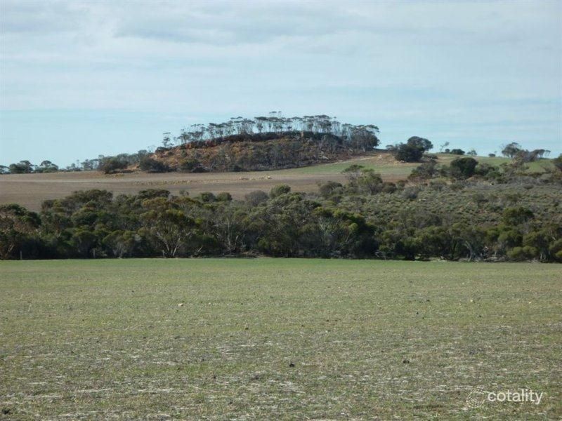 1467 Boxwood Hill-Ongerup Rd, Boxwood Hill, WA 6338