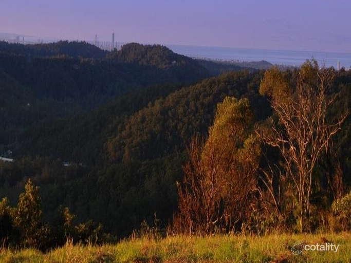 335 Petsch Creek Rd, Tallebudgera Valley, QLD 4228