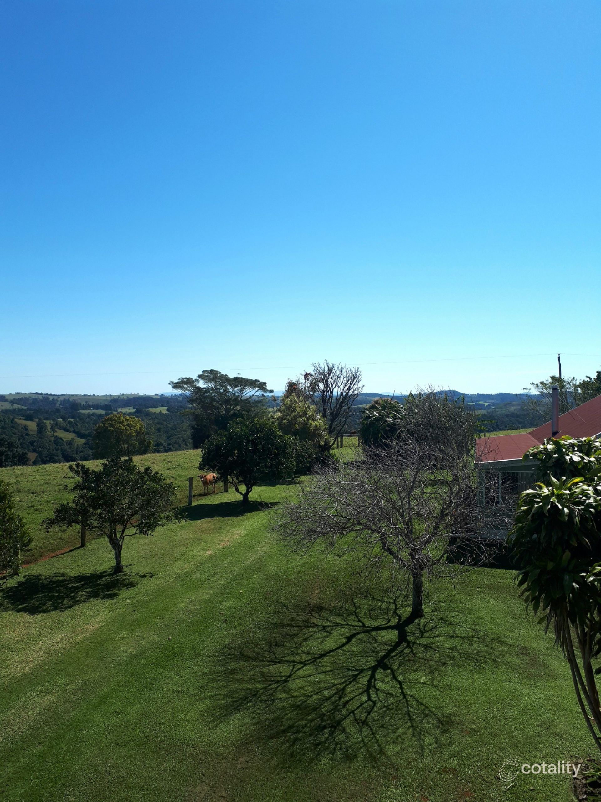 323 Moregatta Rd, Moregatta, QLD 4886