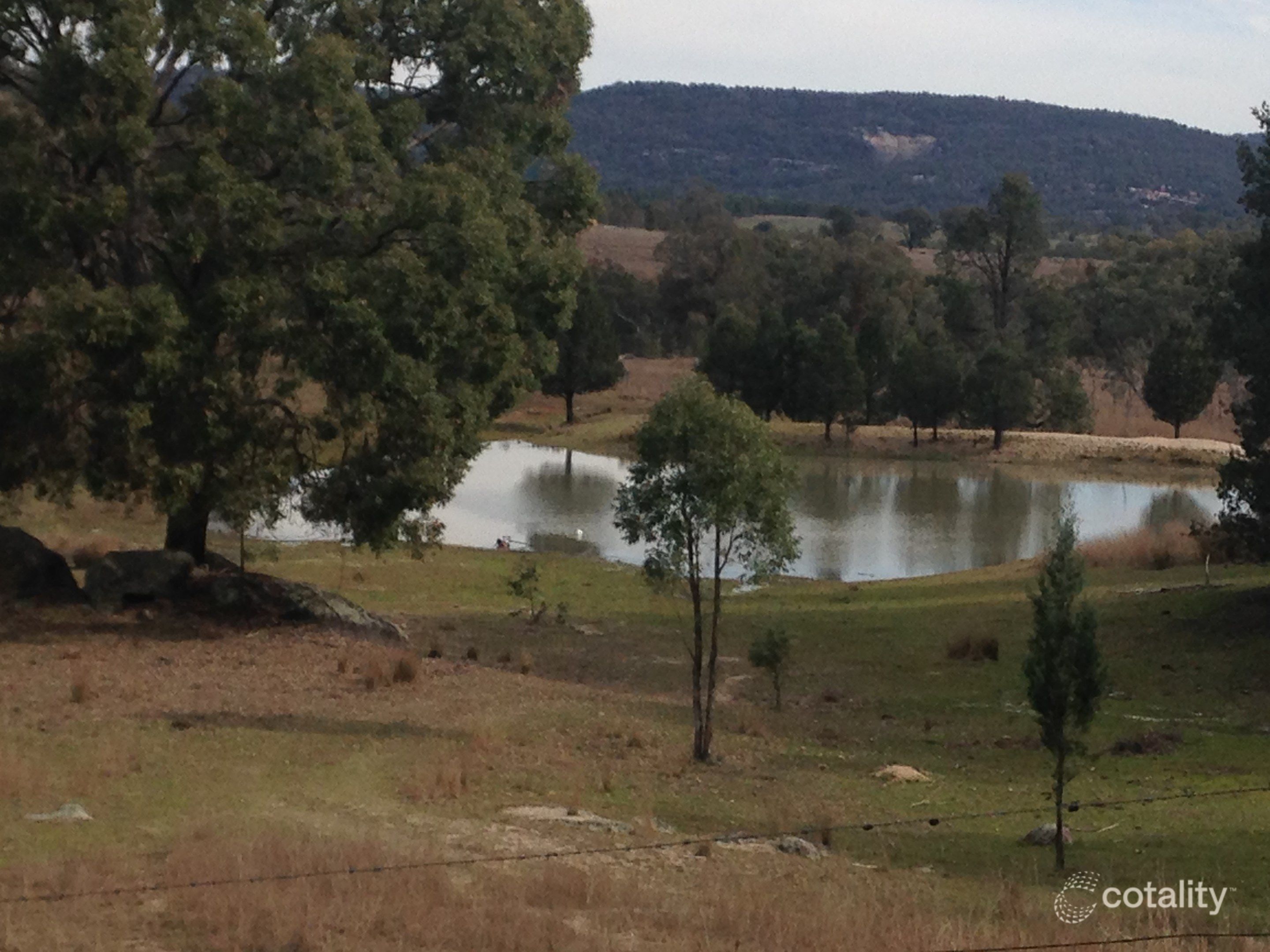 699 Wearnes Rd, Bundarra, NSW 2359