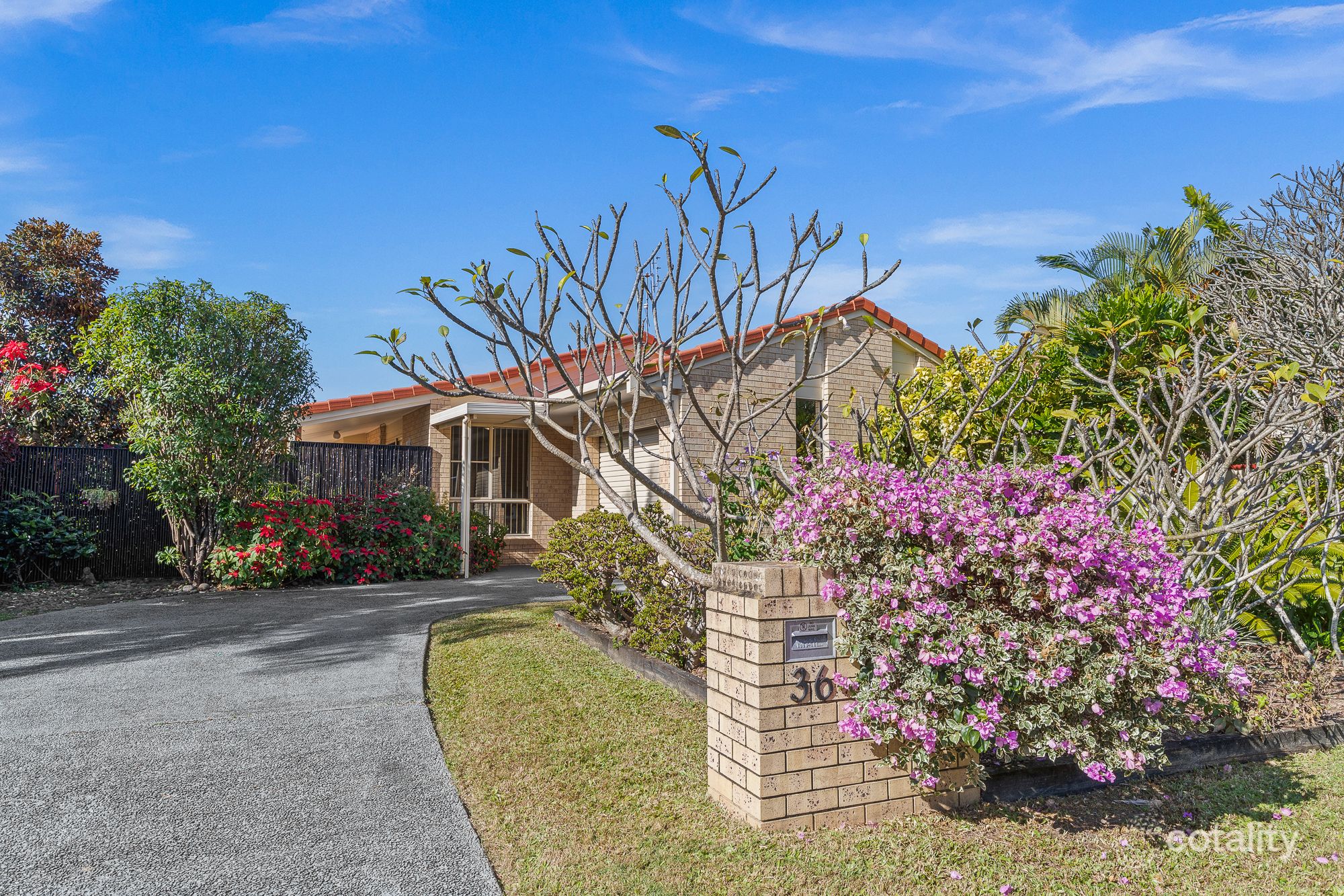 36 Natan Ct, Ocean Shores, NSW 2483