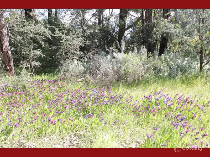 1705 Kintore Rd, Parkerville, WA 6081