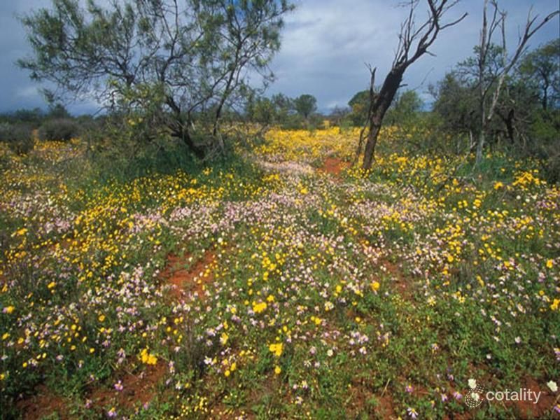 Isachar Back Rd, Bowes, WA 6535