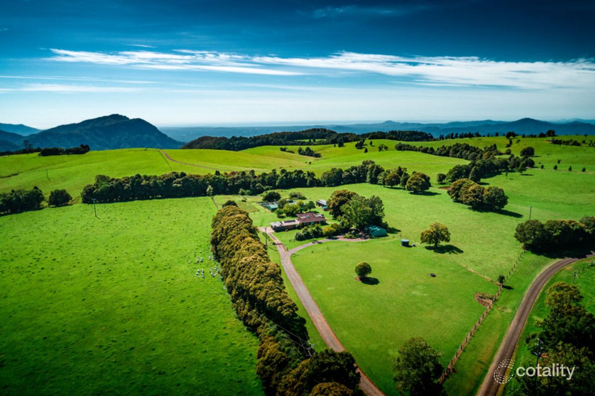 121 Mountain Top Rd, Dorrigo Mountain, NSW 2453