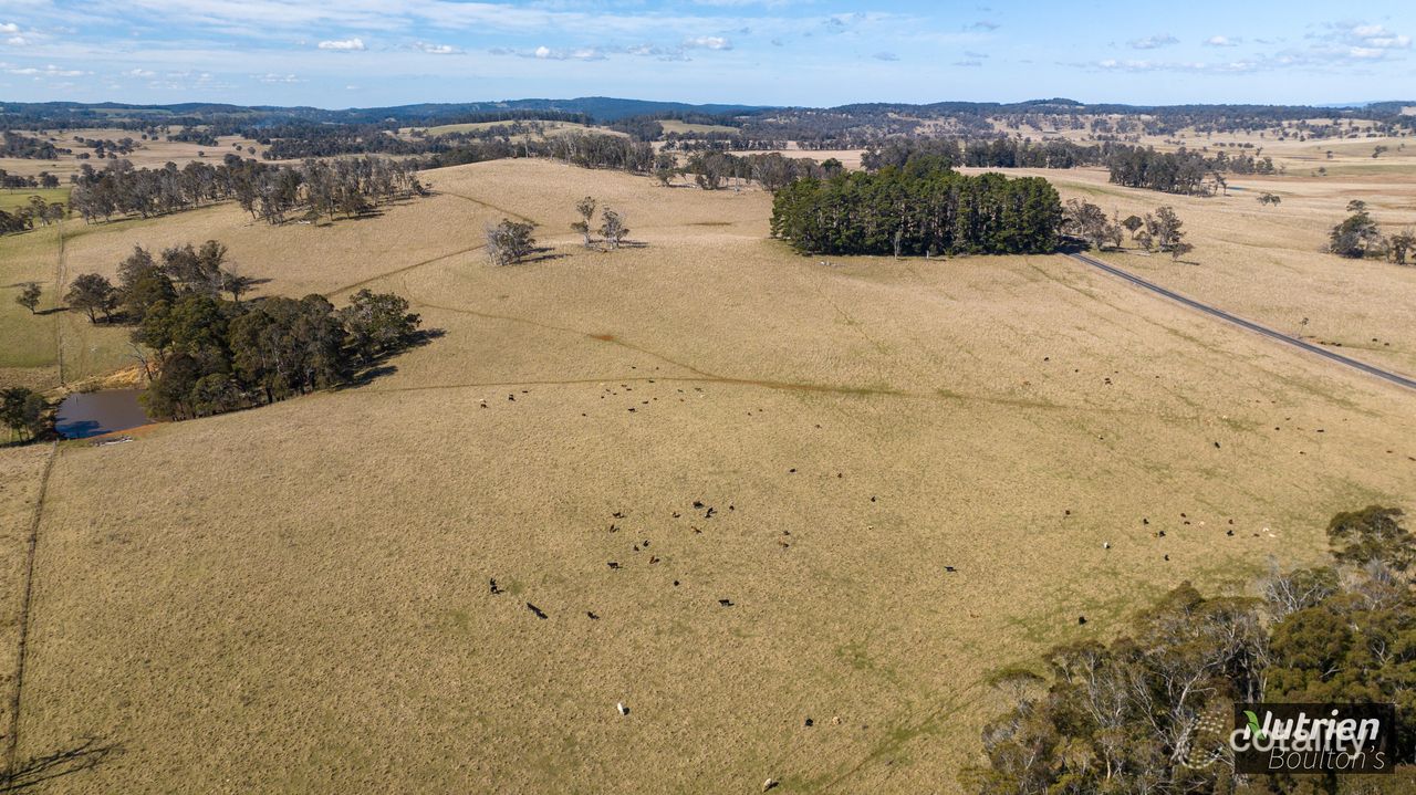 1195 Topdale Rd, Niangala, NSW 2354