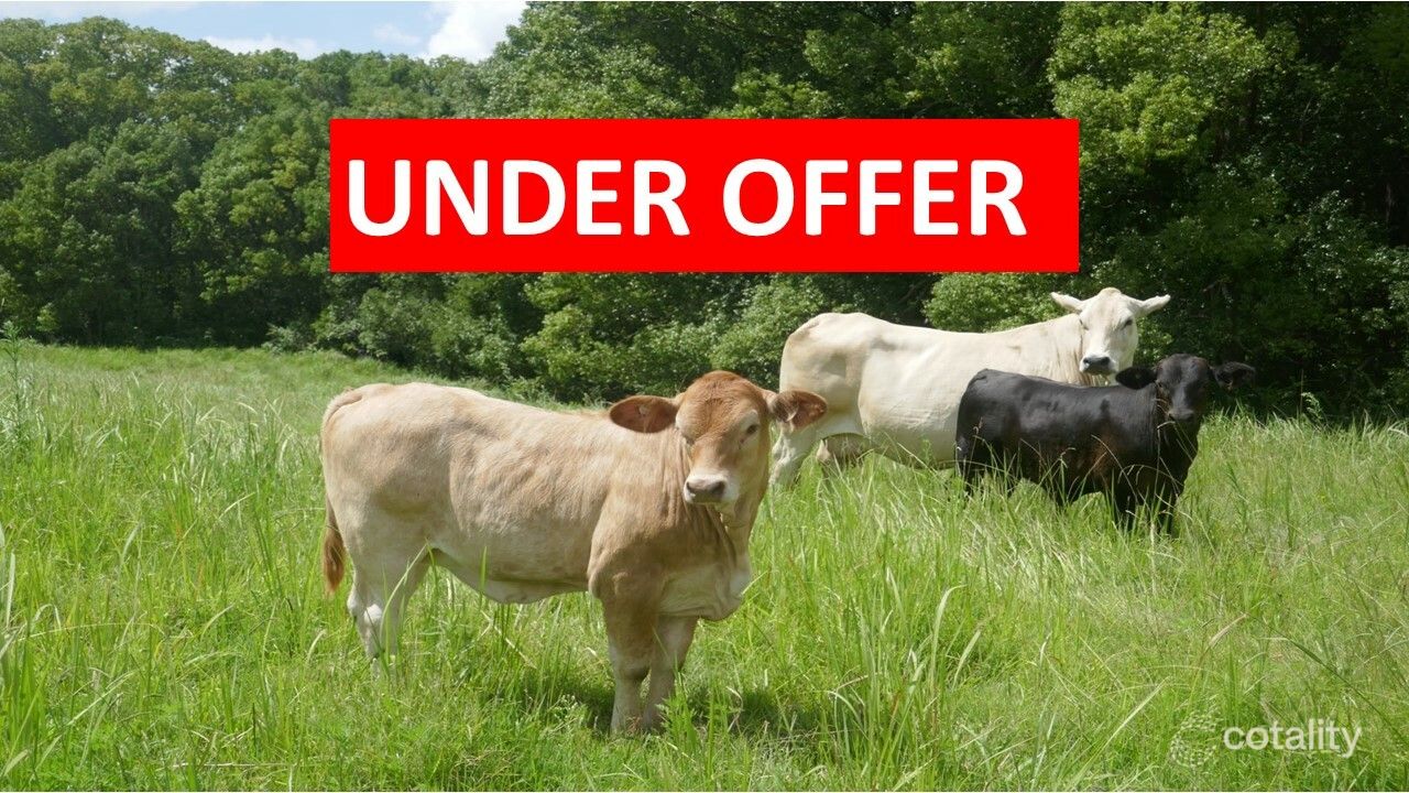 2150 Bentley Rd, Bentley, NSW 2480