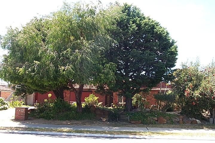 45 Marangaroo Dr, Marangaroo, WA 6064