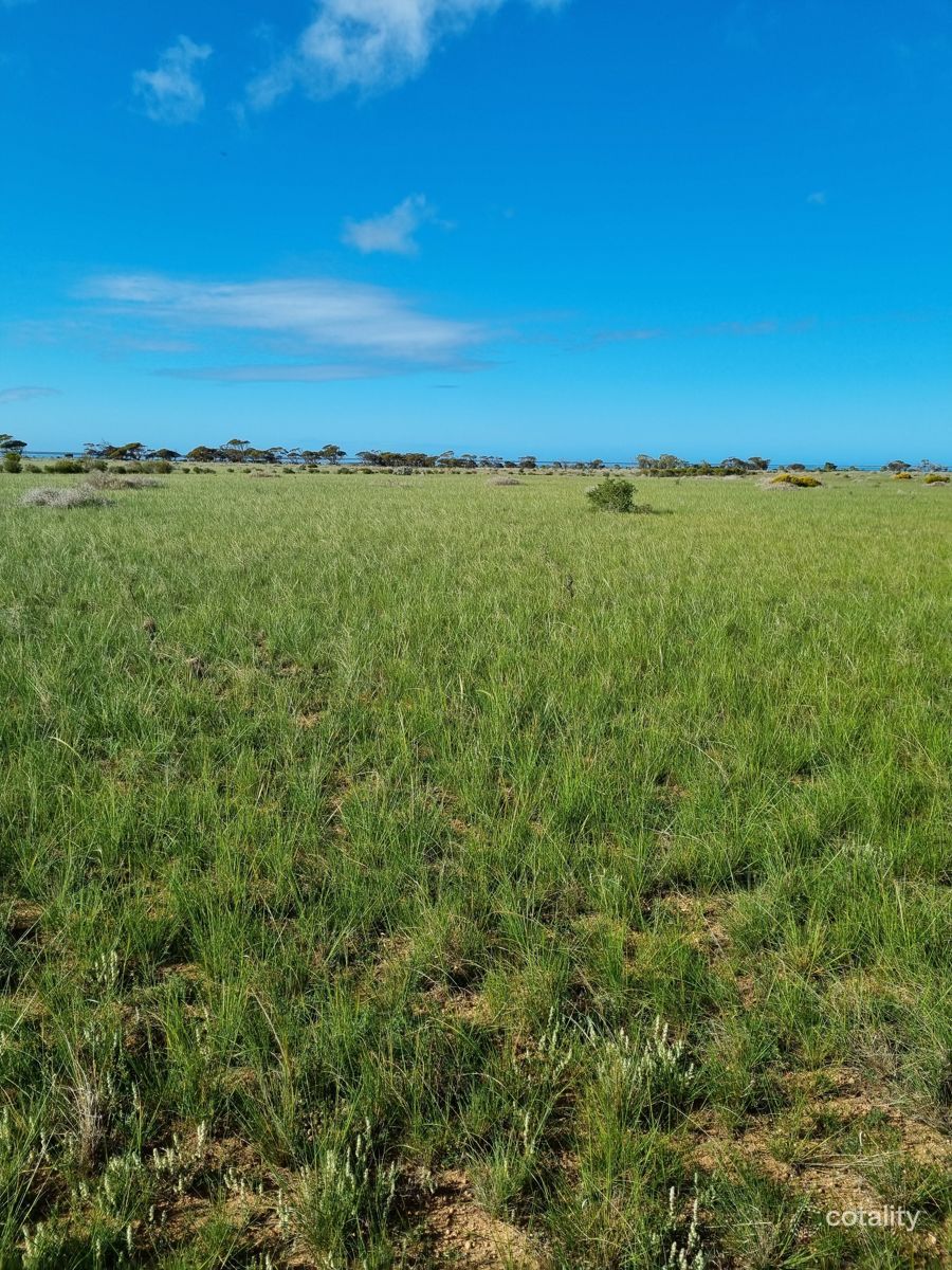 Lot 52 Bluebush Rd, Cowell, SA 5602