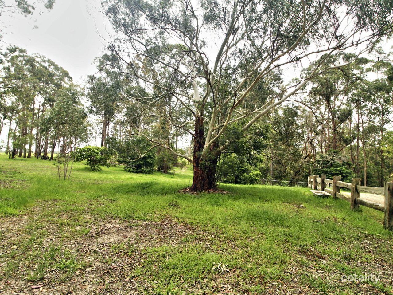 565 Buchan-Orbost Rd, Bete Bolong, VIC 3888
