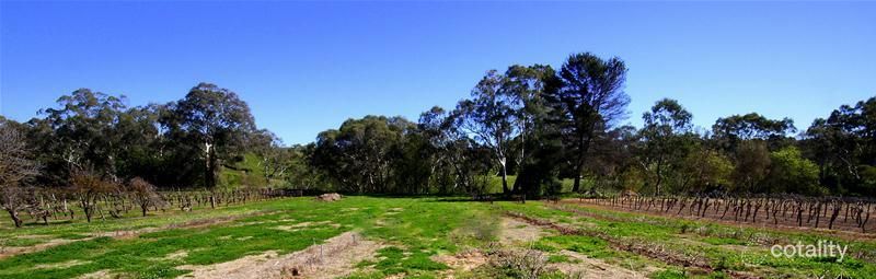 86/601 Langmeil Rd, Tanunda, SA 5352