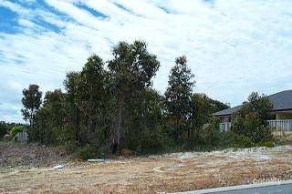 27 Allwood Pde, Bayonet Head, WA 6330