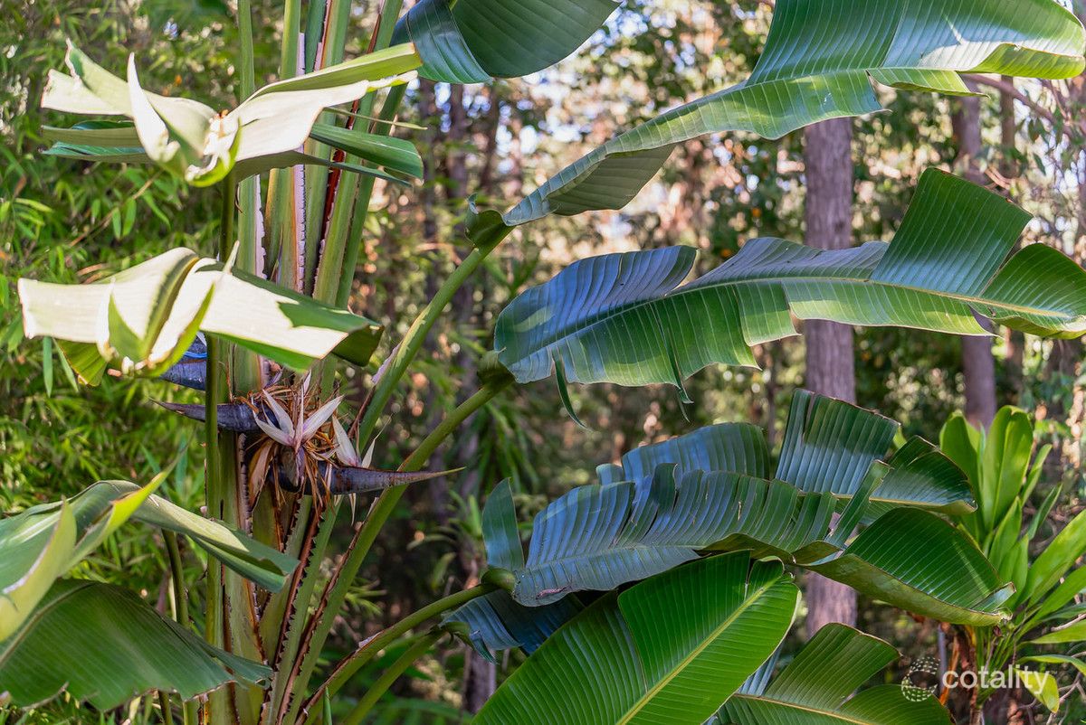 68 Honeydew Pl, Ninderry, QLD 4561