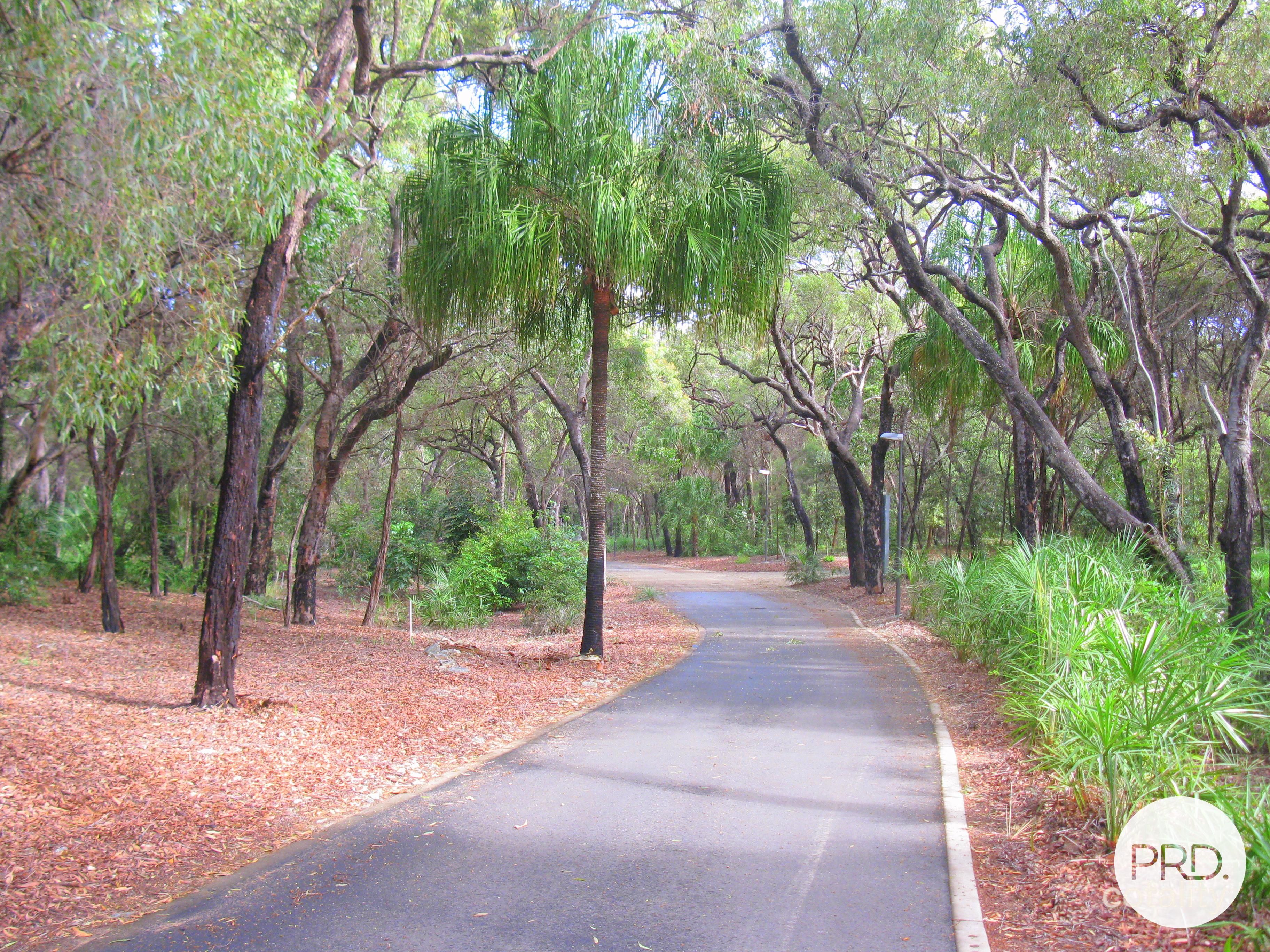 76 Bloodwood Ave, Agnes Water, QLD 4677