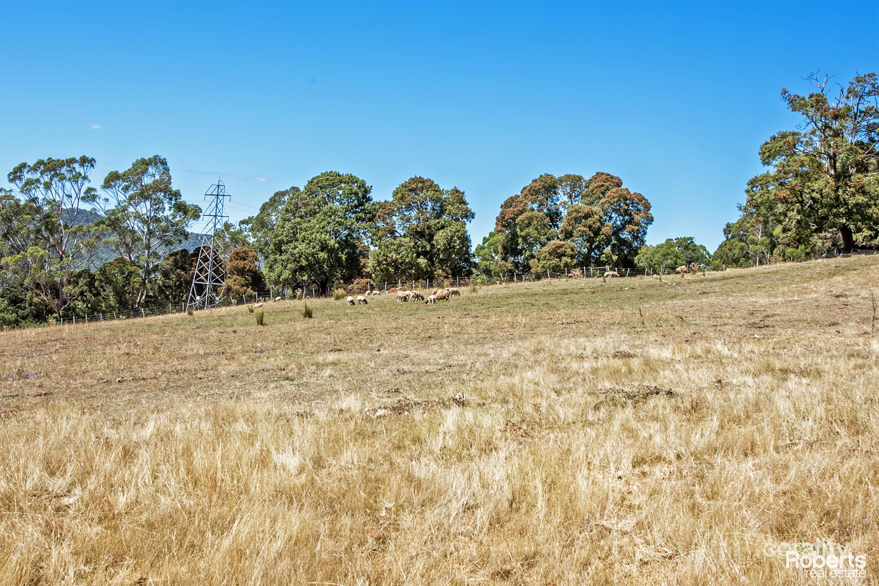 722 Sunnyside Rd, Sunnyside, TAS 7305