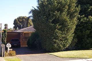 7 Gabyon Ct, Hillman, WA 6168