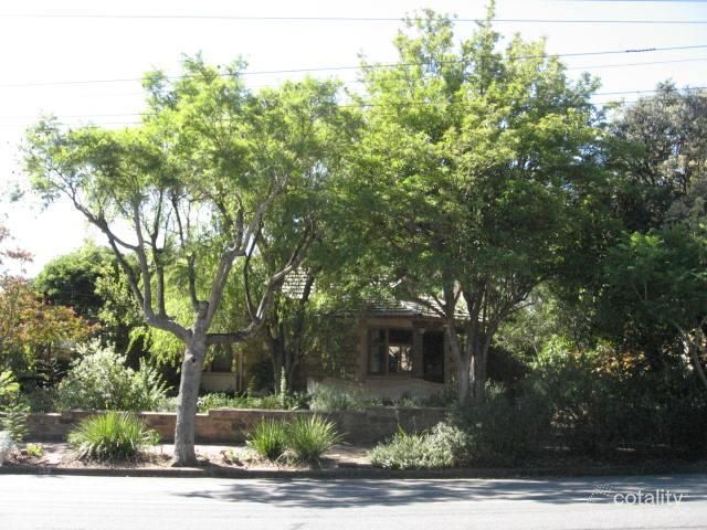 123 Grant Ave, Toorak Gardens, SA 5065