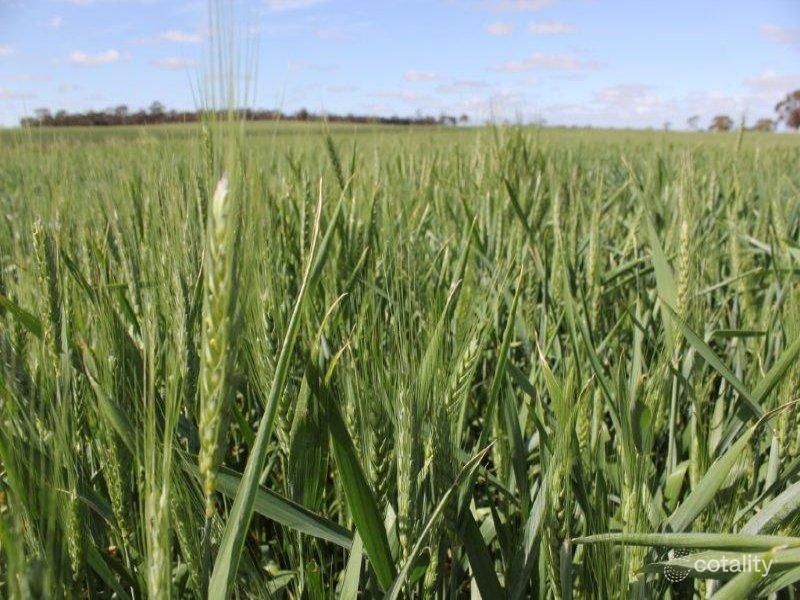 6981 Soldiers Rd, West Holleton, WA 6369