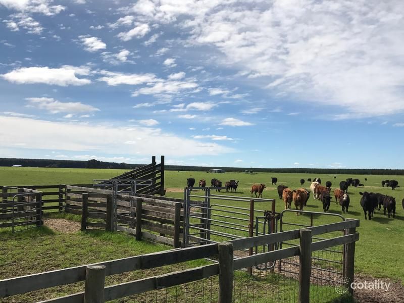 152 Kain Rd, Caroline, SA 5291