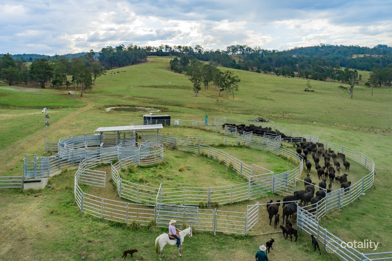 276 Farm Rd, Lower Peacock, NSW 2469