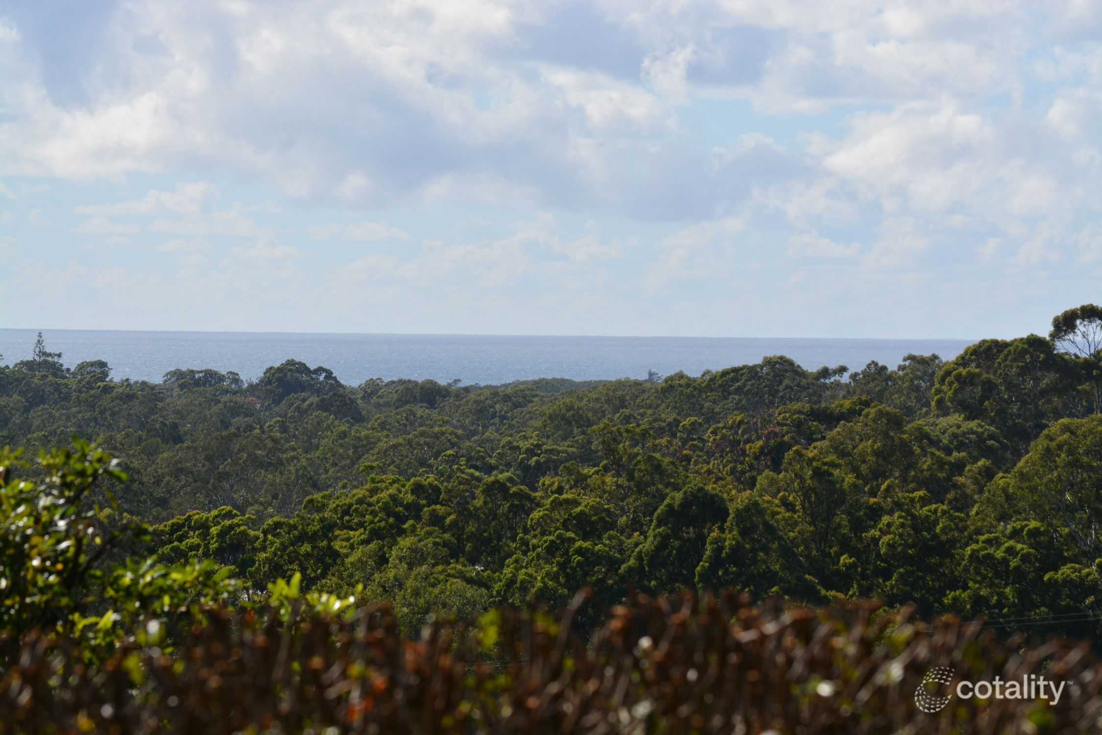 131 Johnsons Rd, Sandy Beach, NSW 2456