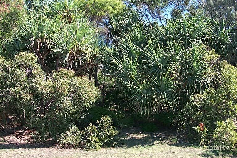 50 Tramican St, Point Lookout, QLD 4183