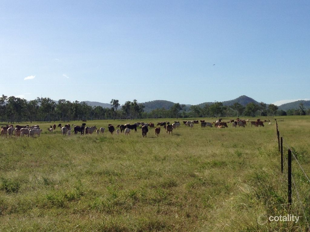 1569 Flinders Hwy, Brookhill, QLD 4816