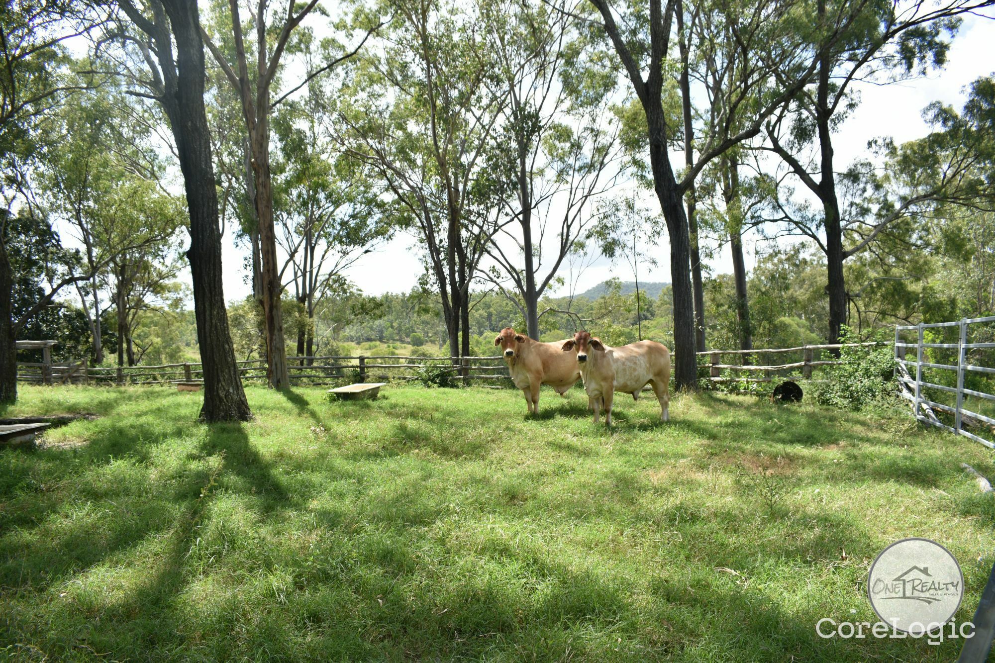 213 Thompson A Rd, Woocoo, QLD 4620