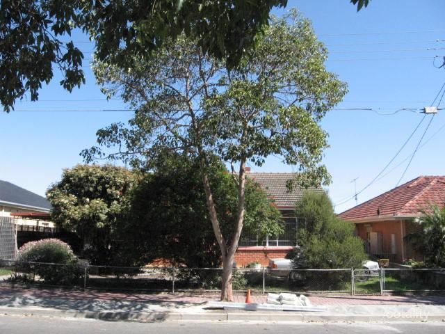 8 Martin St, Glynde, SA 5070