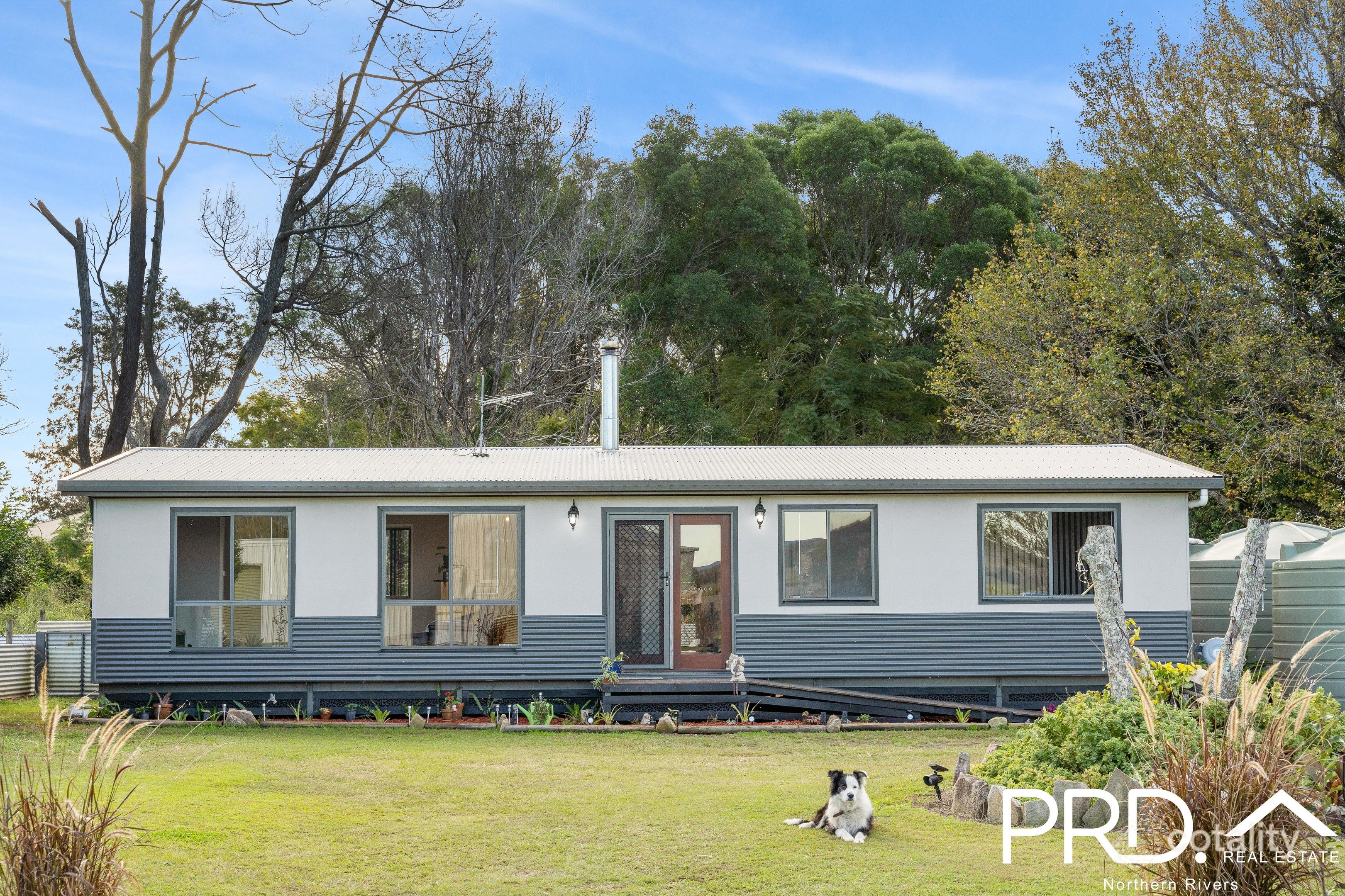 50 Haughwood Rd, Bora Ridge, NSW 2471