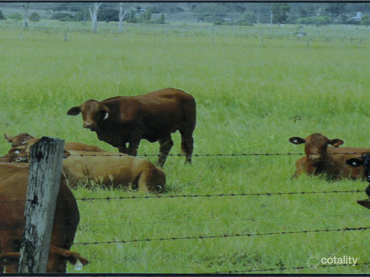 Lot 104 Cryna Rd, Cryna, QLD 4285