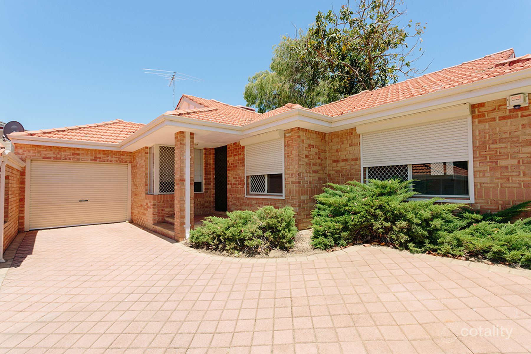 3/51 Langley Cres, Innaloo, WA 6018