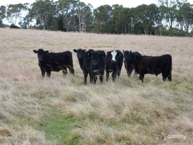 75 Romawi Rd, Forge Creek, VIC 3875