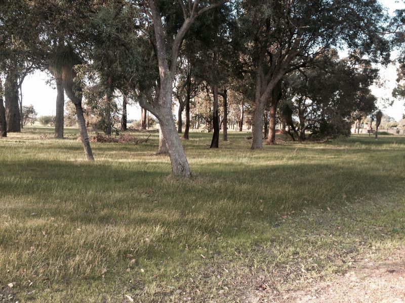 53 Everwood Gld, Ambergate, WA 6280