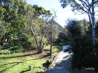 30 Taiyul Rd, North Narrabeen, NSW 2101