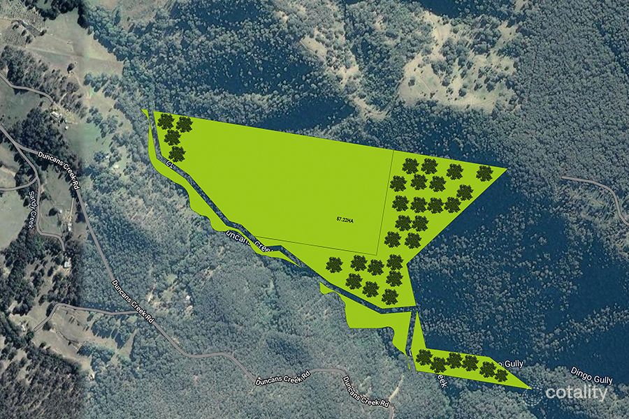 75 Duncans Creek Rd, Duncans Creek, NSW 2340