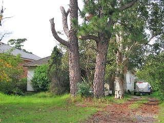 44 Duke St, Forestville, NSW 2087