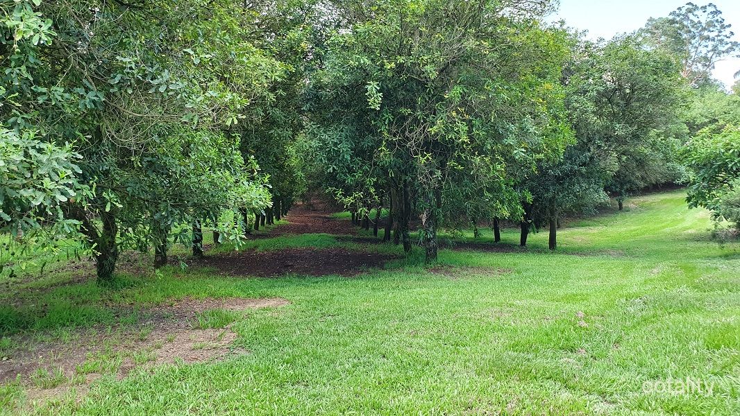 40 Alstonvale Rd, Alstonvale, NSW 2477