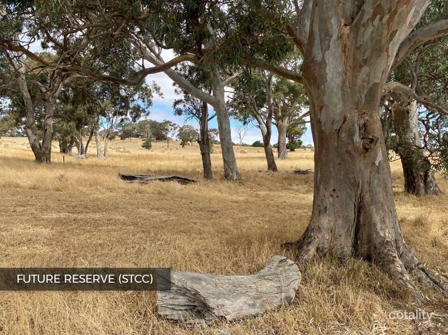 13 Cheriton Ave, Mount Barker, SA 5251