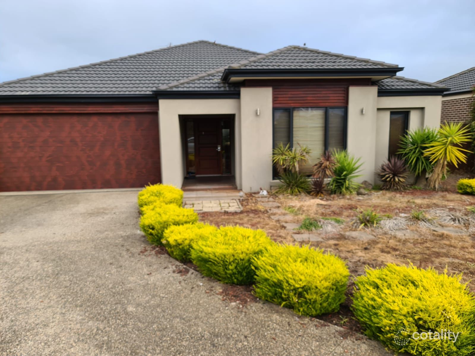 8 Matilda Ct, Lynbrook, VIC 3975