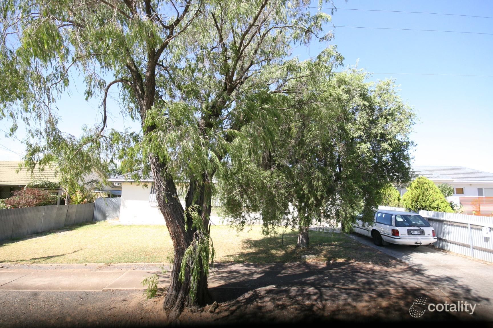 19 Finchley St, Clovelly Park, SA 5042