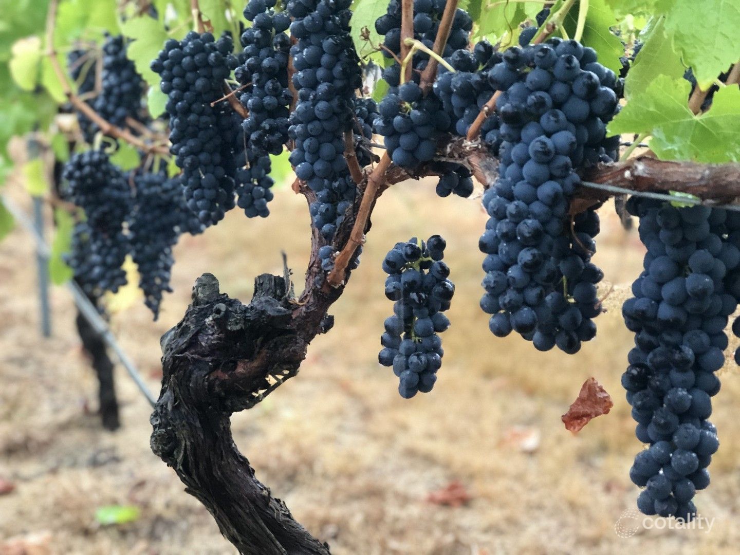 3131 Canyonleigh Rd, Sutton Forest, NSW 2577