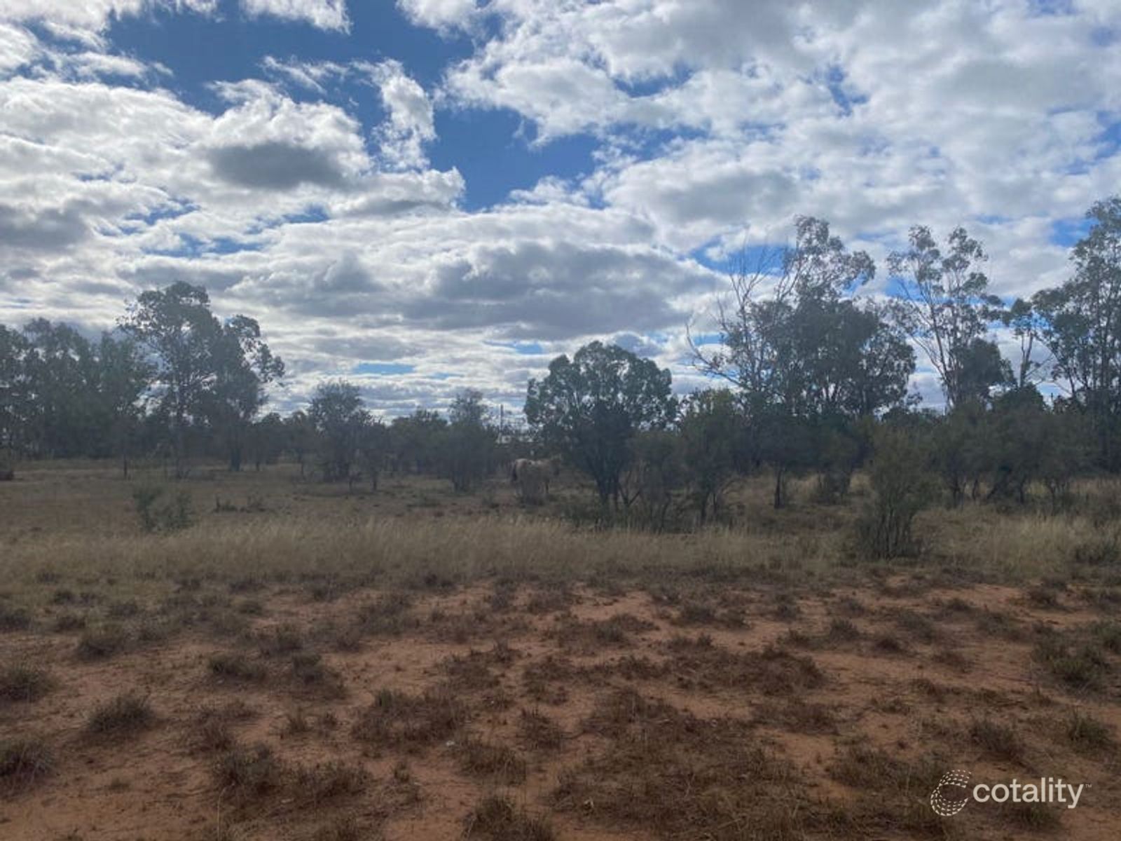 33 Wilson St, Condamine, QLD 4416