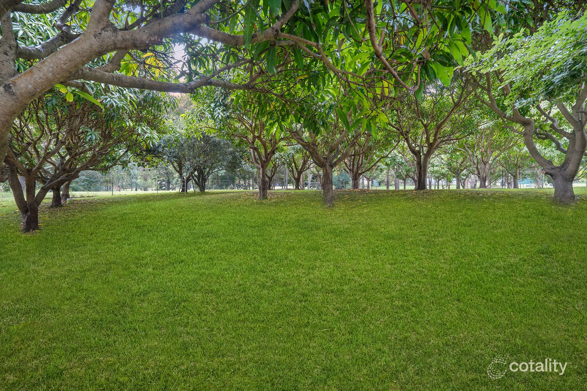 16 Cobalt Dr, Bethania, QLD 4205