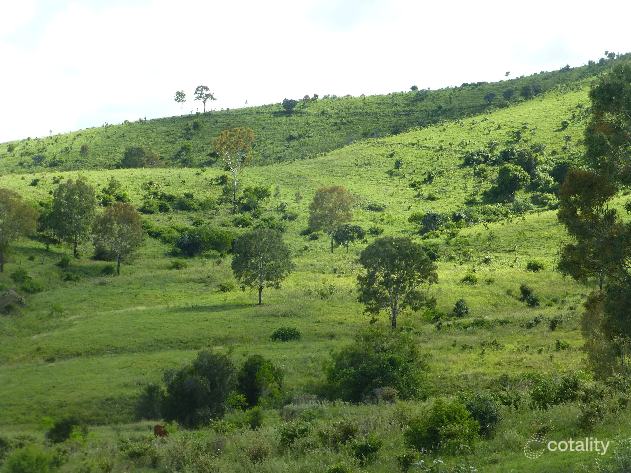 Gospel Hall Rd, Dallarnil, QLD 4621