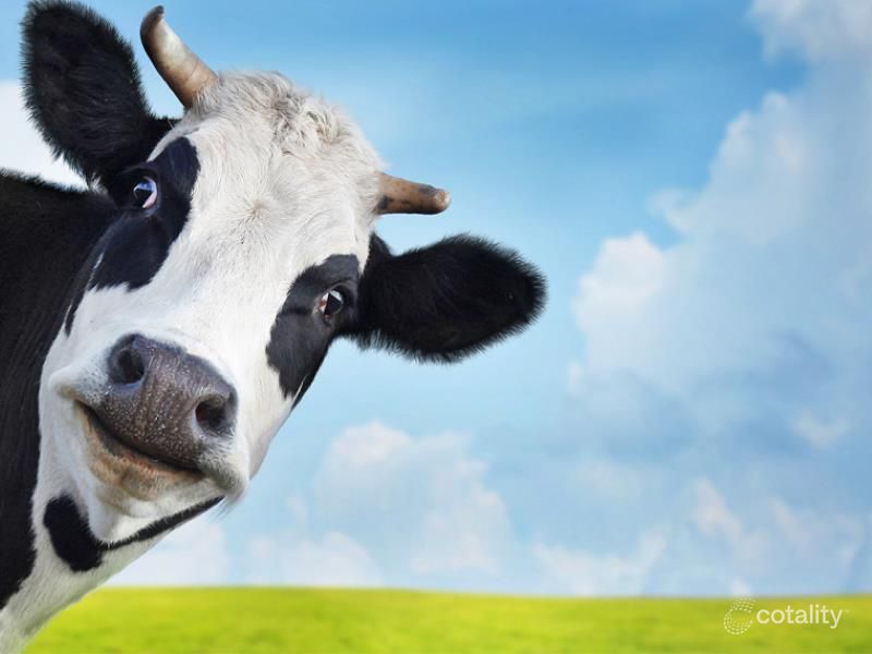 Lot 537 Berrima Rd, Marbelup, WA 6330