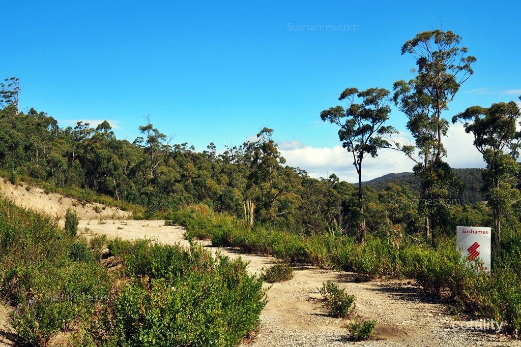 Lot 15 Forest Heights Dr, Tugrah, TAS 7310