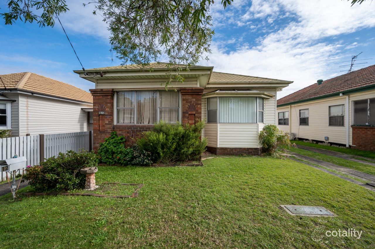 12 Hinkler St, Mayfield, NSW 2304