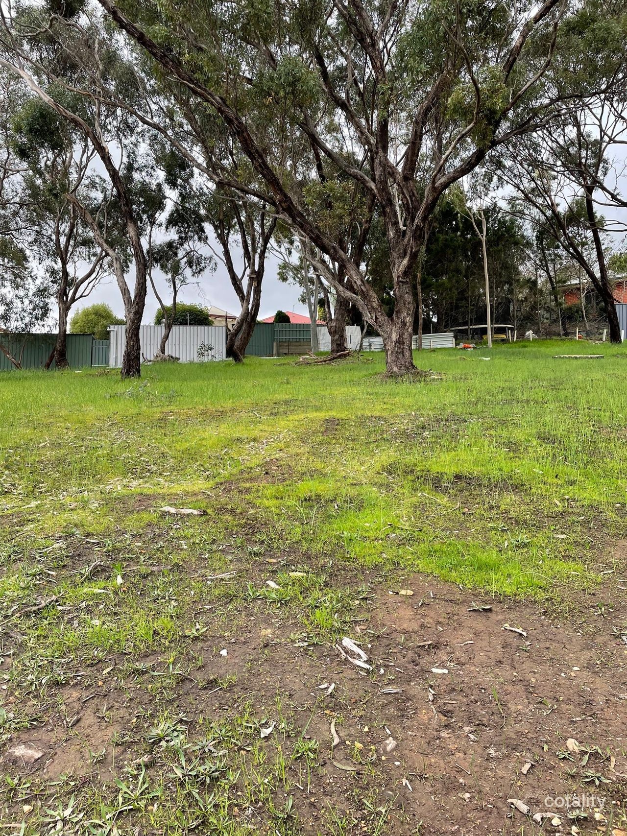 10 Greenville Cl, Aberfoyle Park, SA 5159